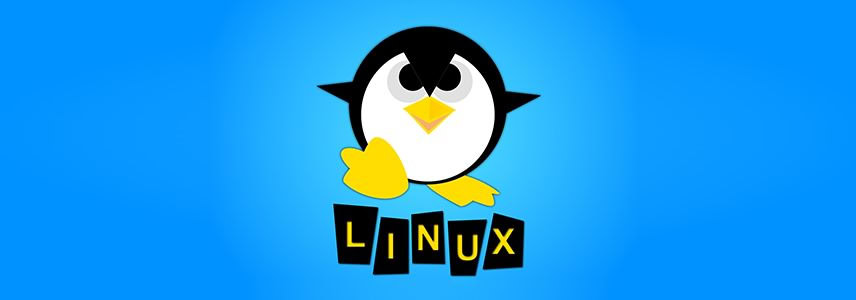 全球国家级Linux项目介绍