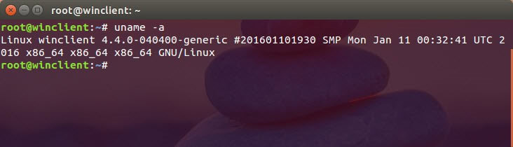 install-linux-kernel-4-4-ubuntu-2