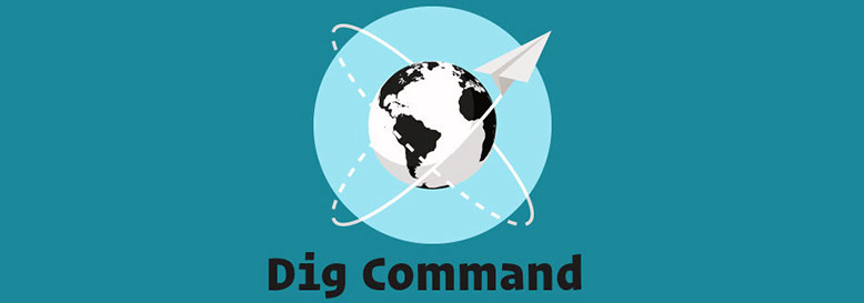 dig command