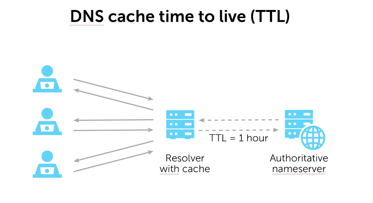 DNS 缓存 TTL