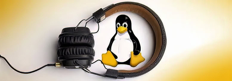Linux 音乐播放器