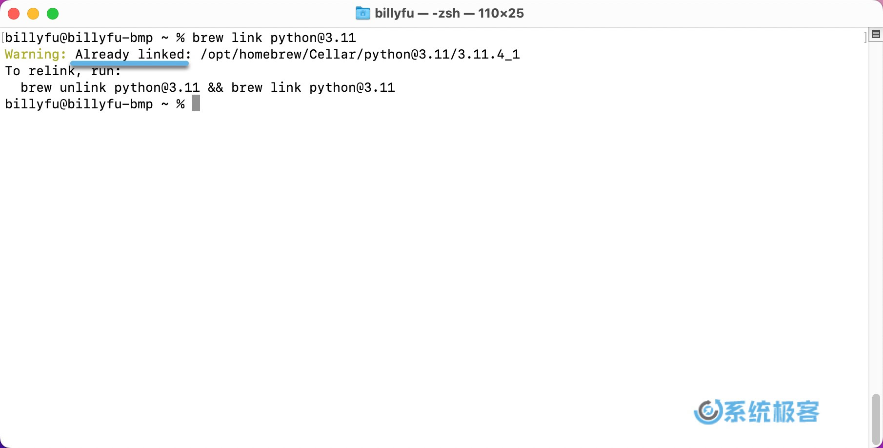 链接 Python 3