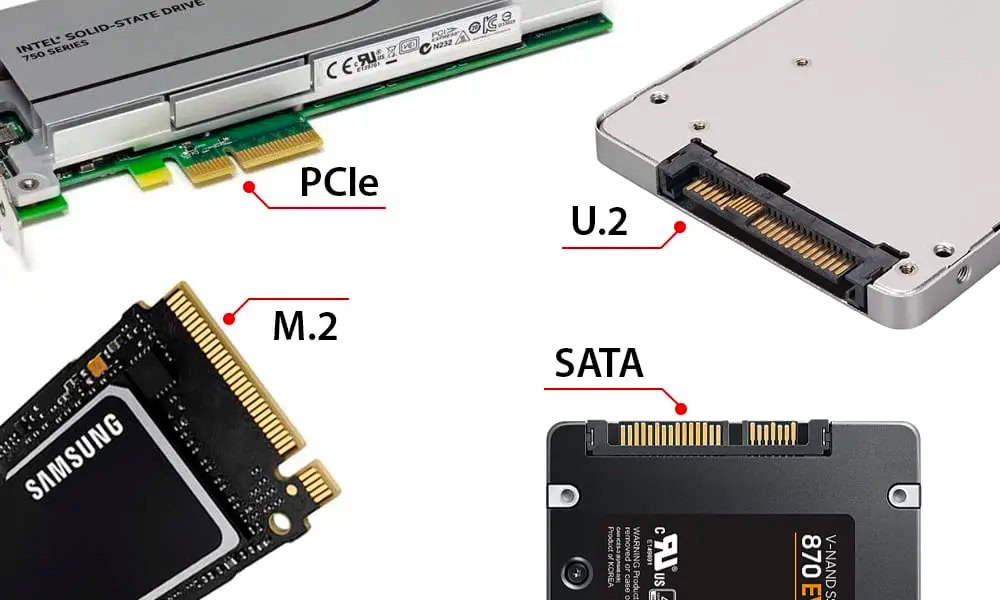 常见 SSD 接口类型