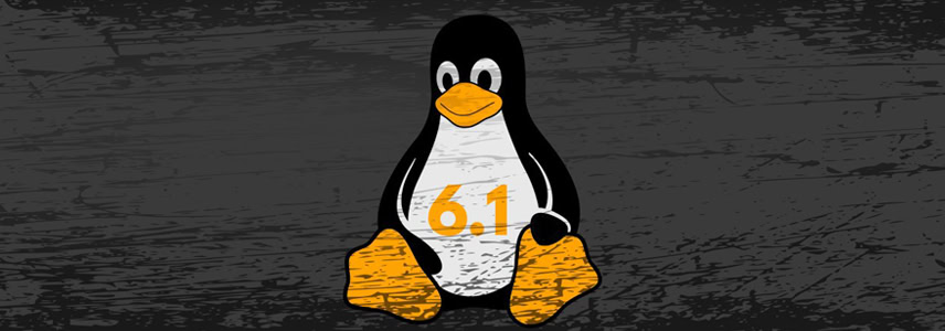 Linux Kernel 6.1