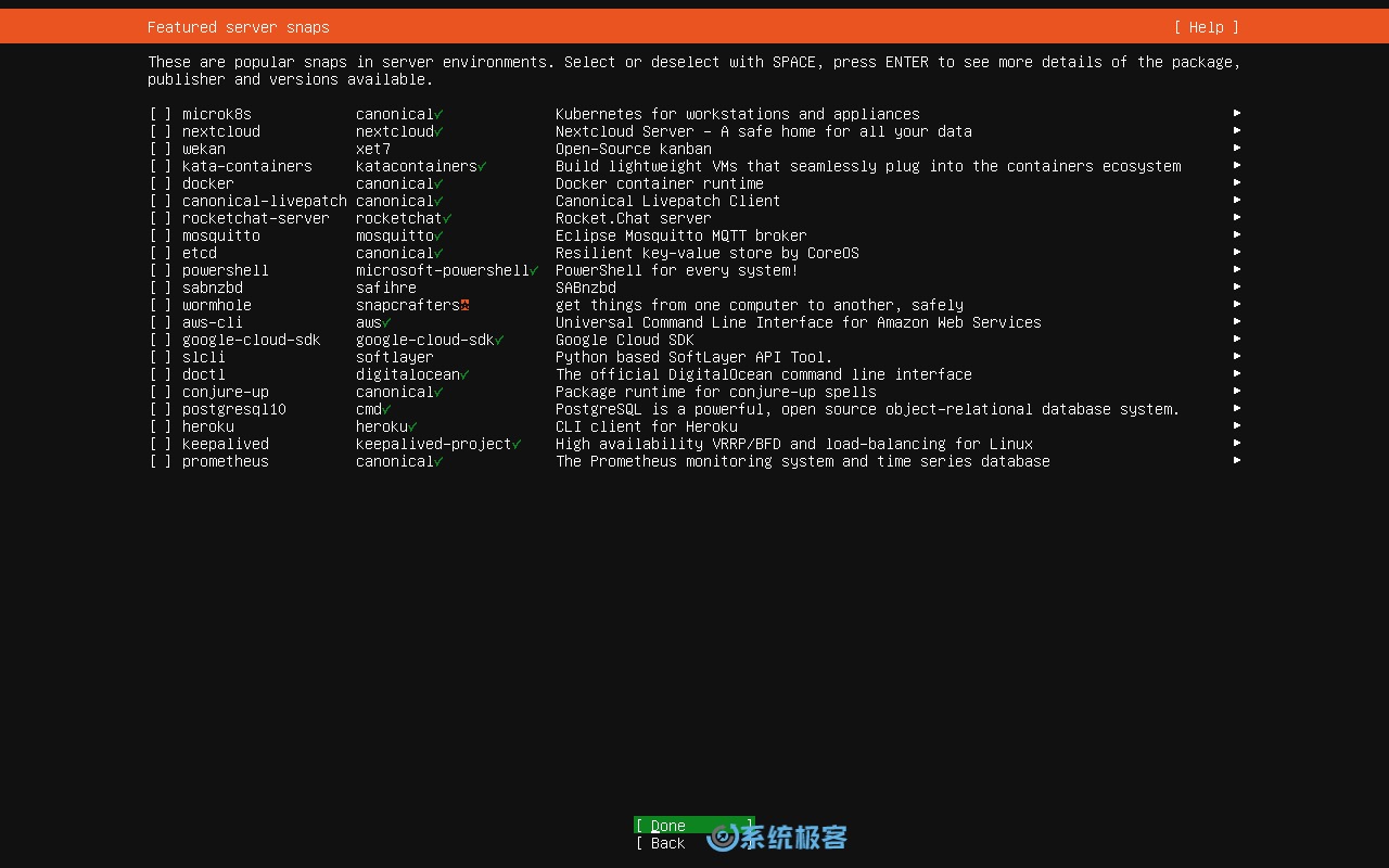 安装 Ubuntu Server 24.04 LTS
