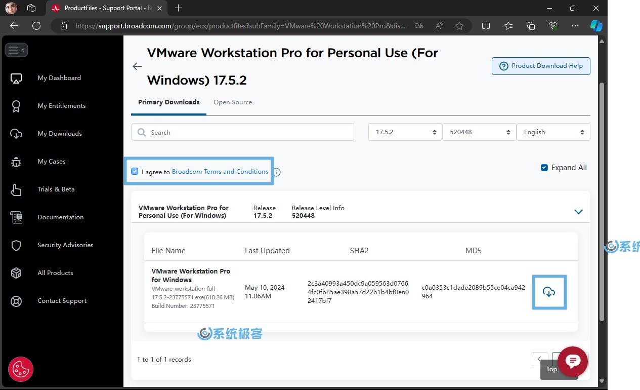 下载 VMware Workstation Pro