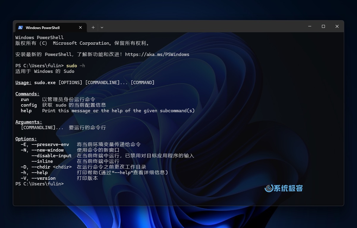 Windows 11 中的 Sudo 参数