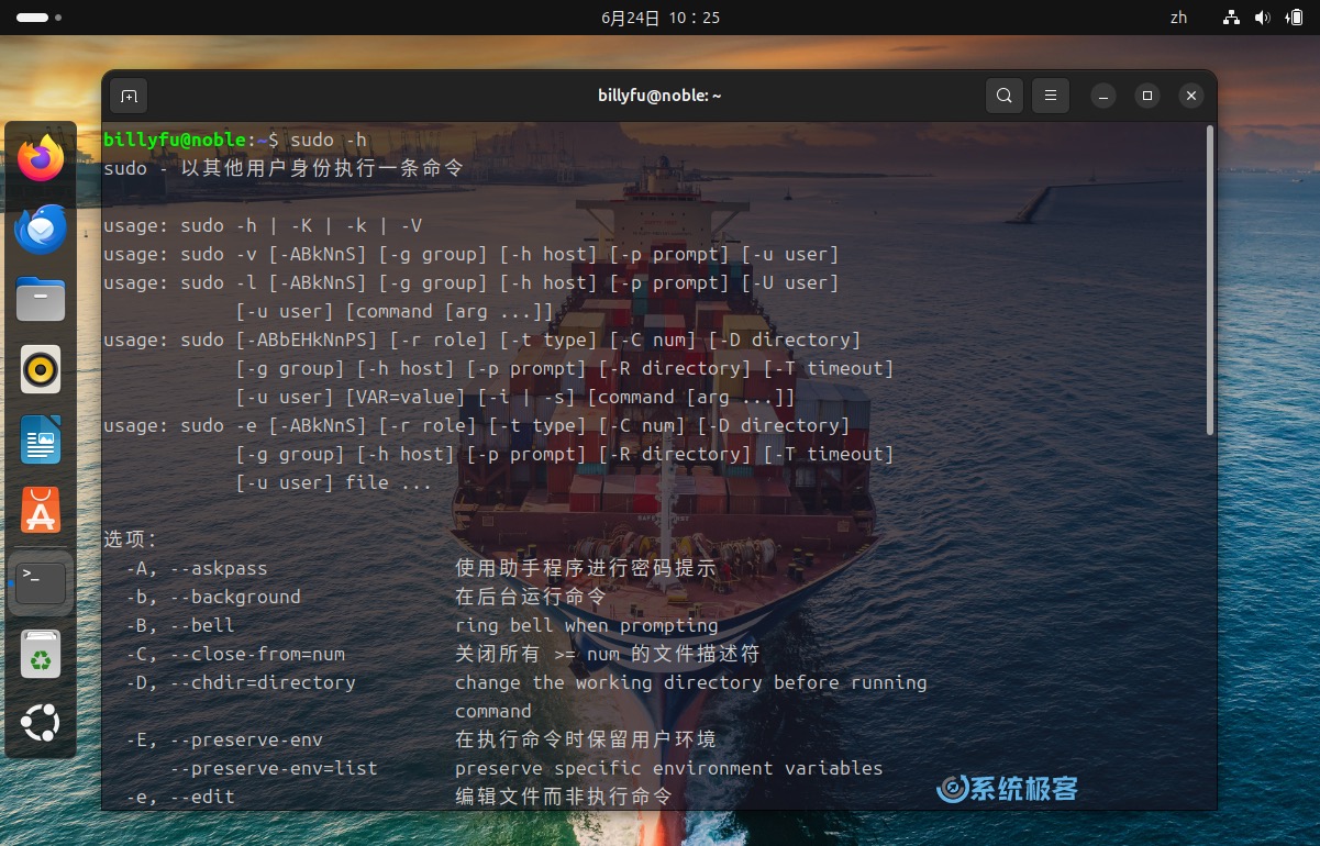 Ubuntu 中的 Sudo 参数