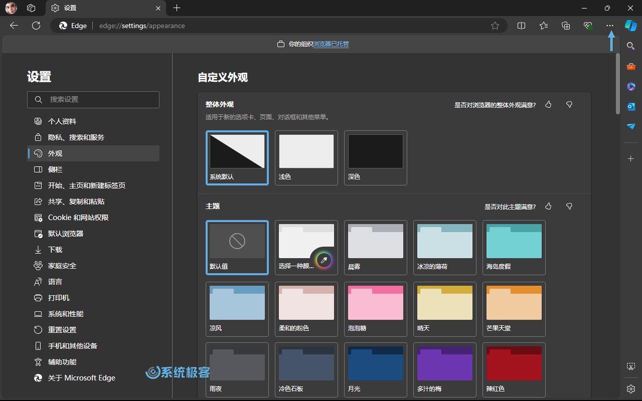 通过 Microsoft Edge 设置启用自动整体外观