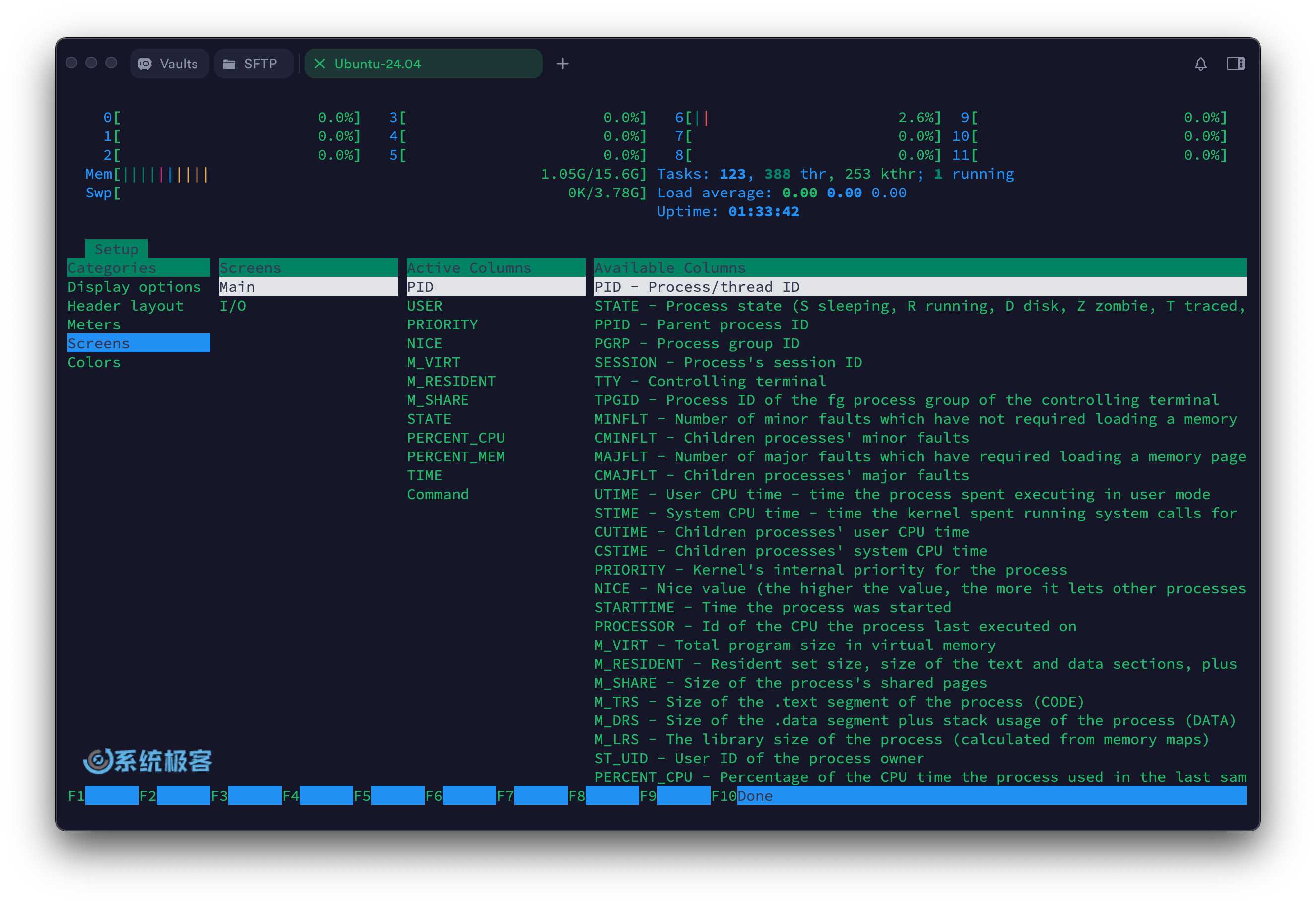 htop 命令：自定义界面