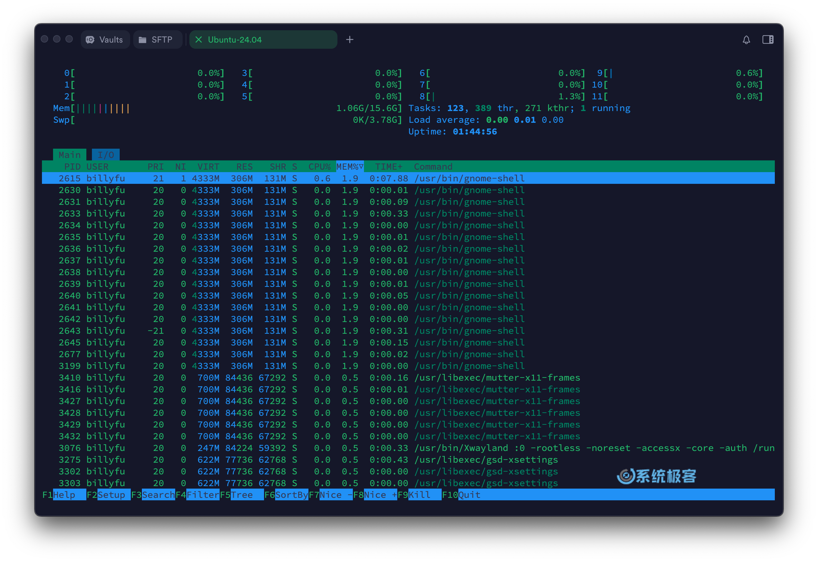 htop 命令