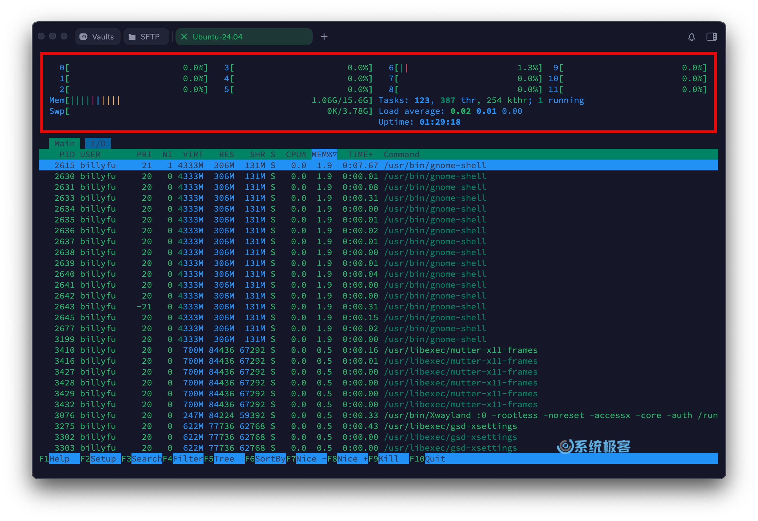 htop 命令：顶部仪表板