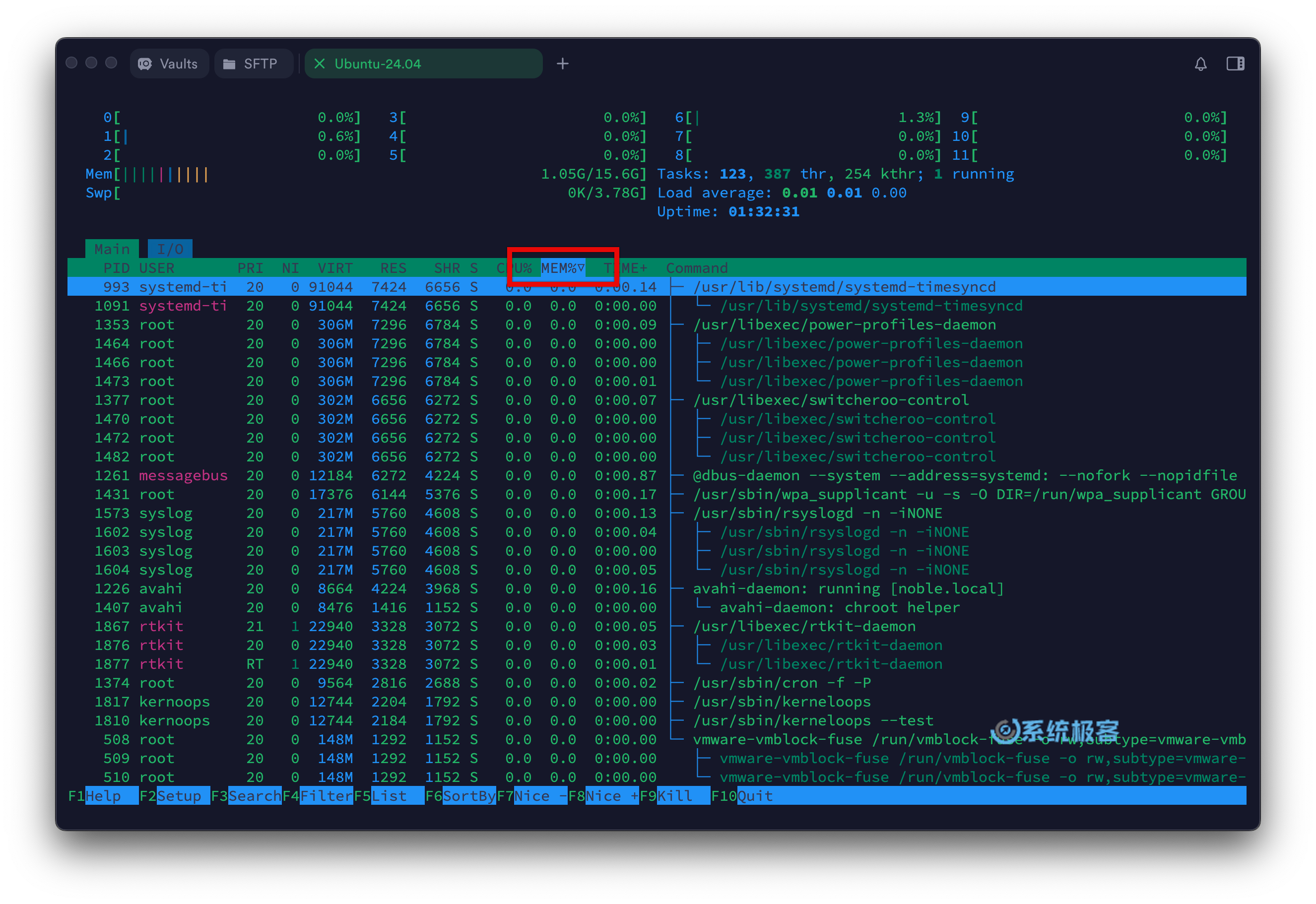 htop 命令：对进程进行排序