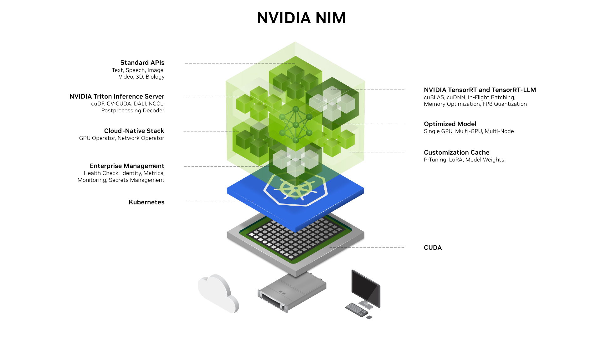 NVIDIA NIM