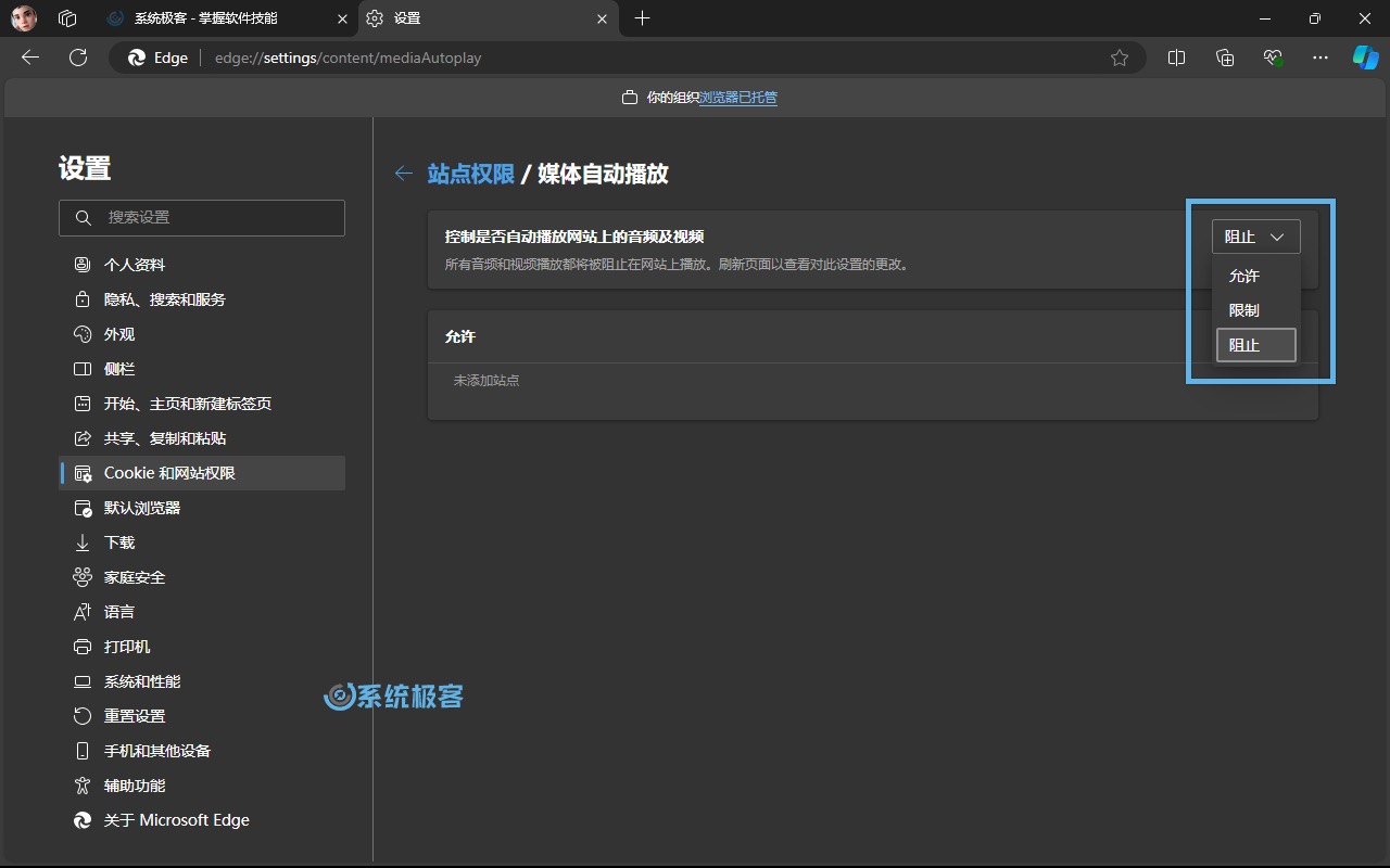 关闭 Microsoft Edge 媒体自动播放