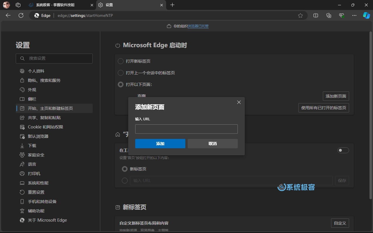 Microsoft Edge 启动时自动打开指定标签页