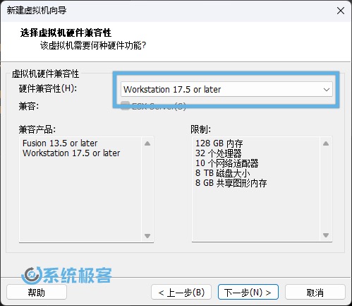 选择兼容 Workstation 17.5 及更高版本