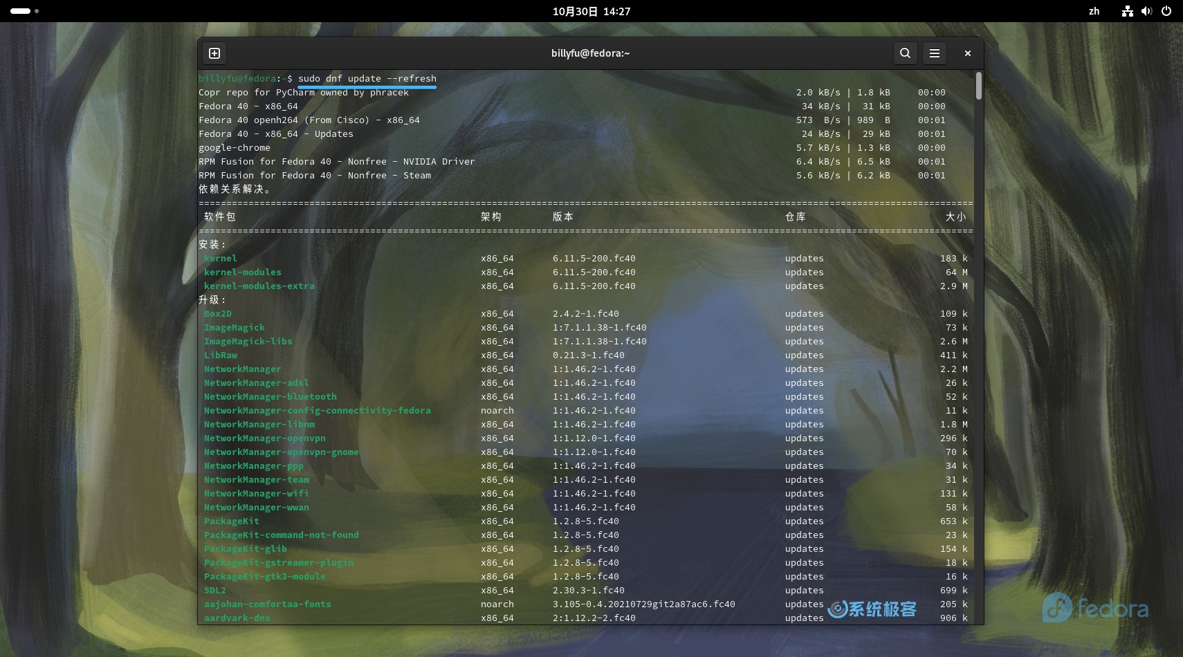 更新 Fedora 软件包