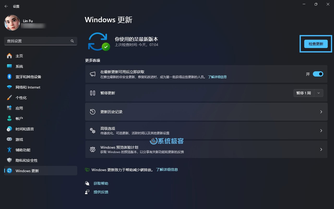 执行 Windows 更新