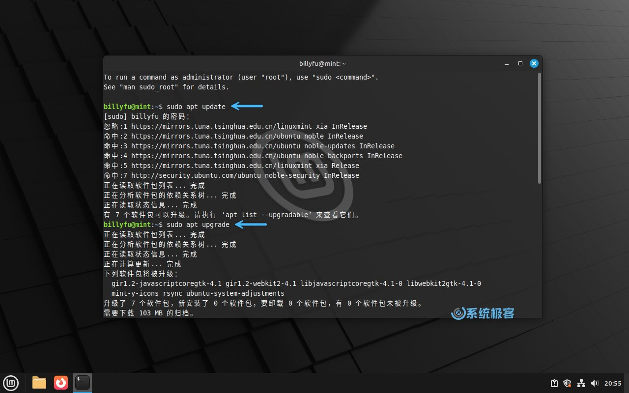 更新 Linux Mint 系统