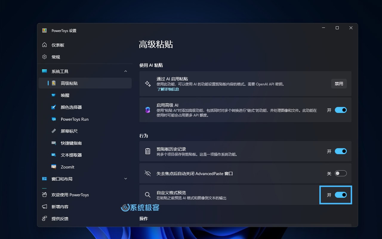 启用自定义格式预览