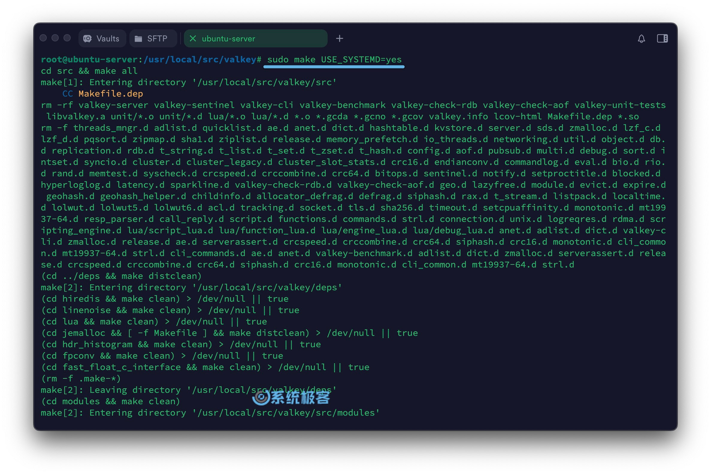 构建支持 systemd 的 valkey 版本