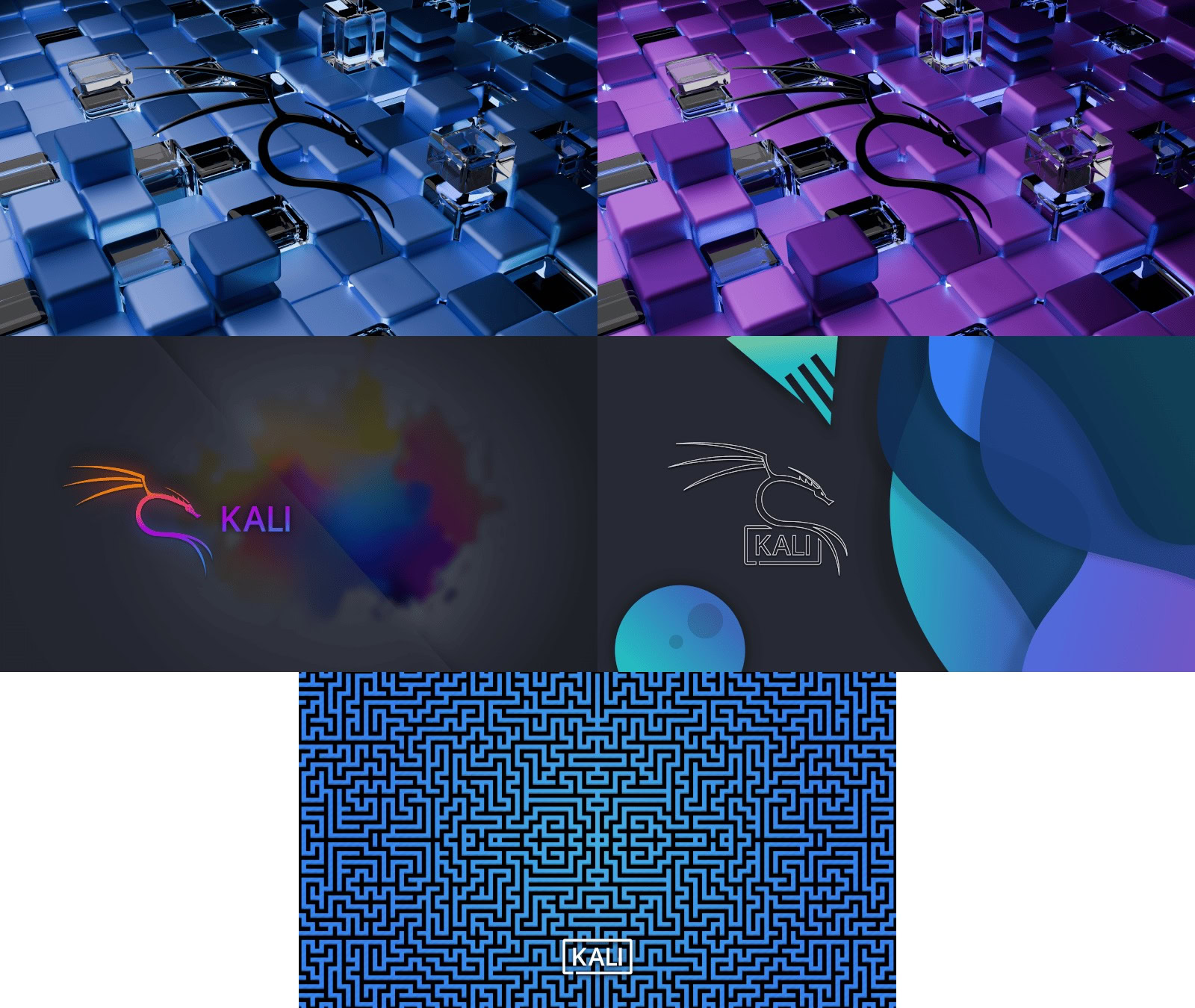 Kali Linux 2025 桌面壁纸