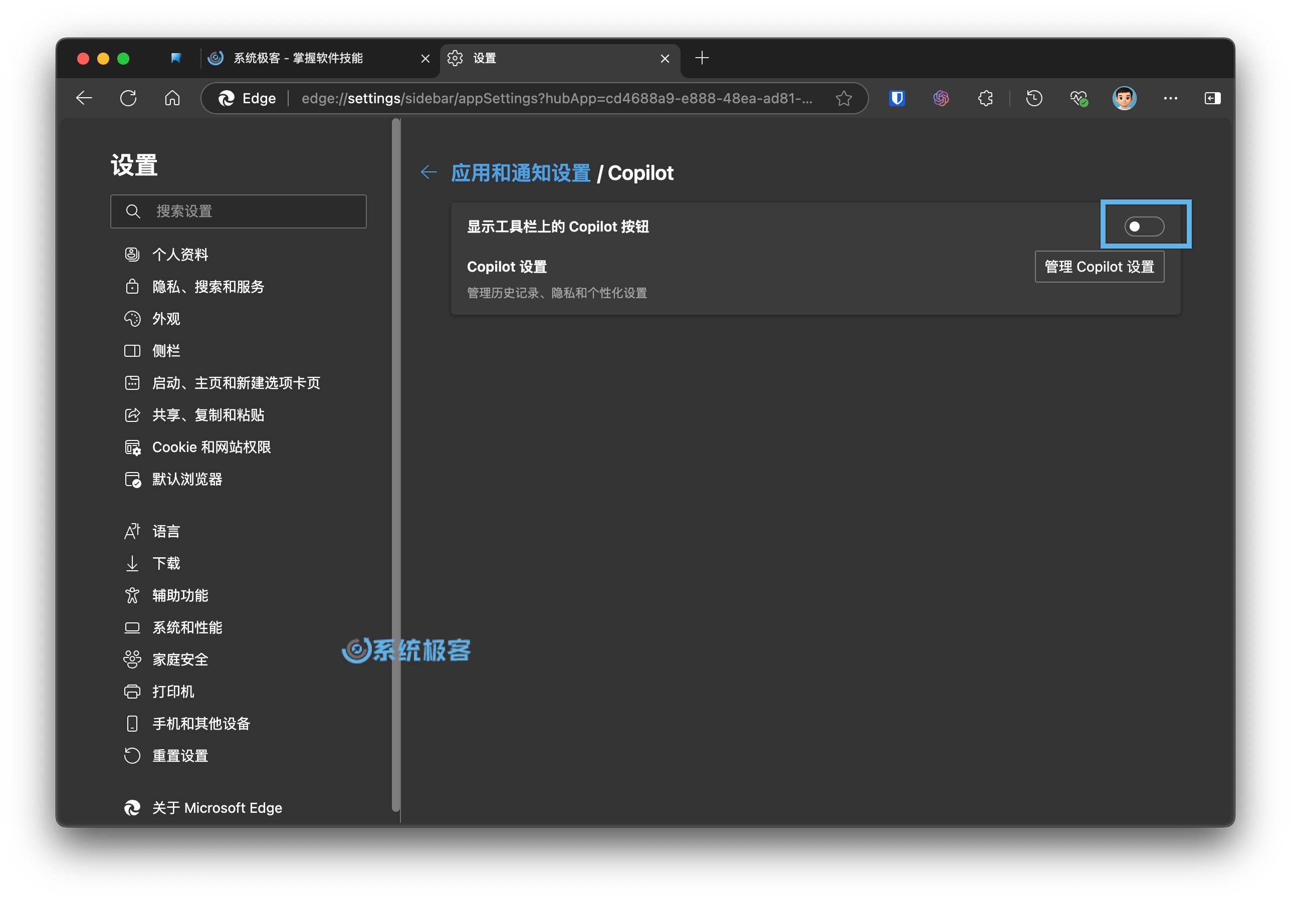 打开或关闭 Copilot 图标及询问 Copilot