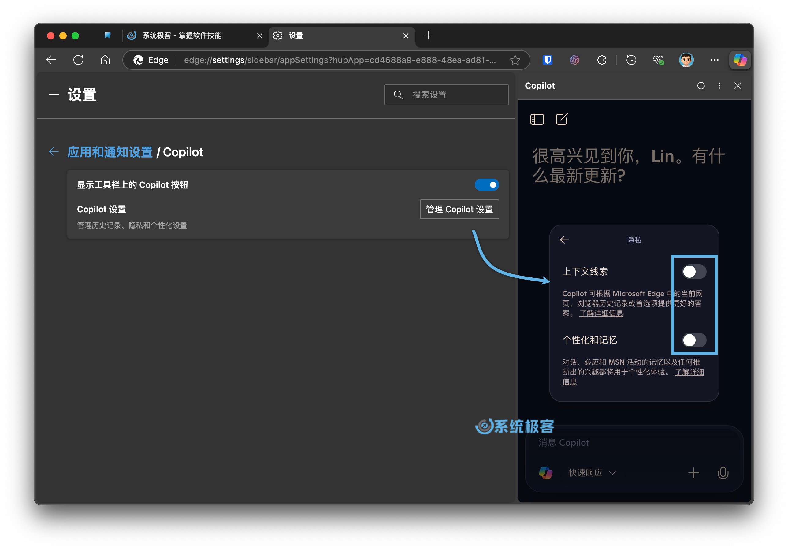 管理 Copilot 设置