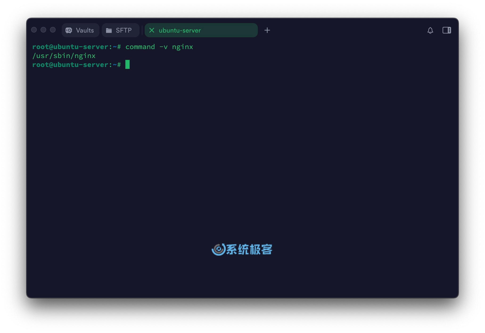 使用 command -v 查看可执行文件路径