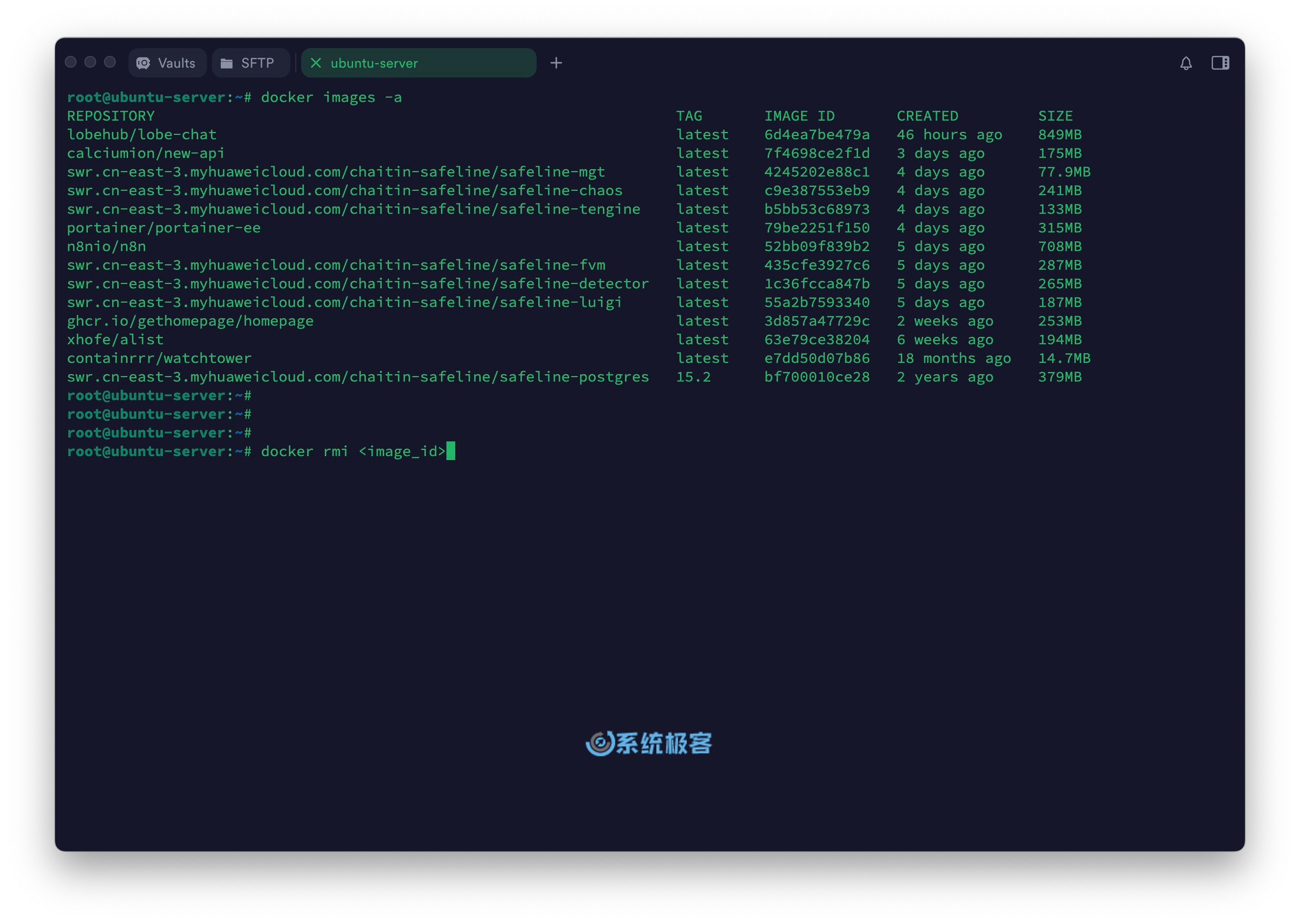 列出及删除指定 Docker 镜像
