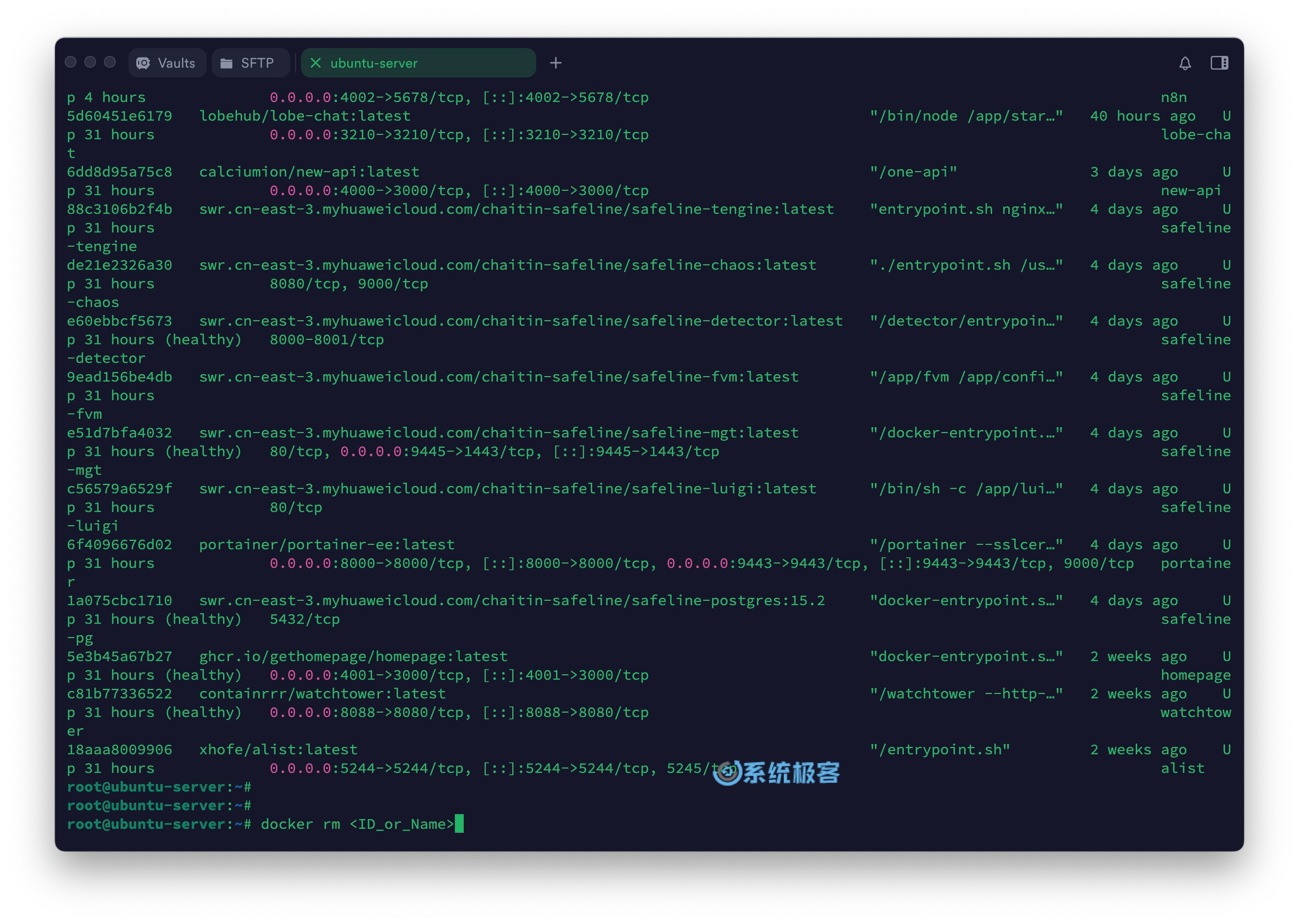 列出及删除指定 Docker 容器