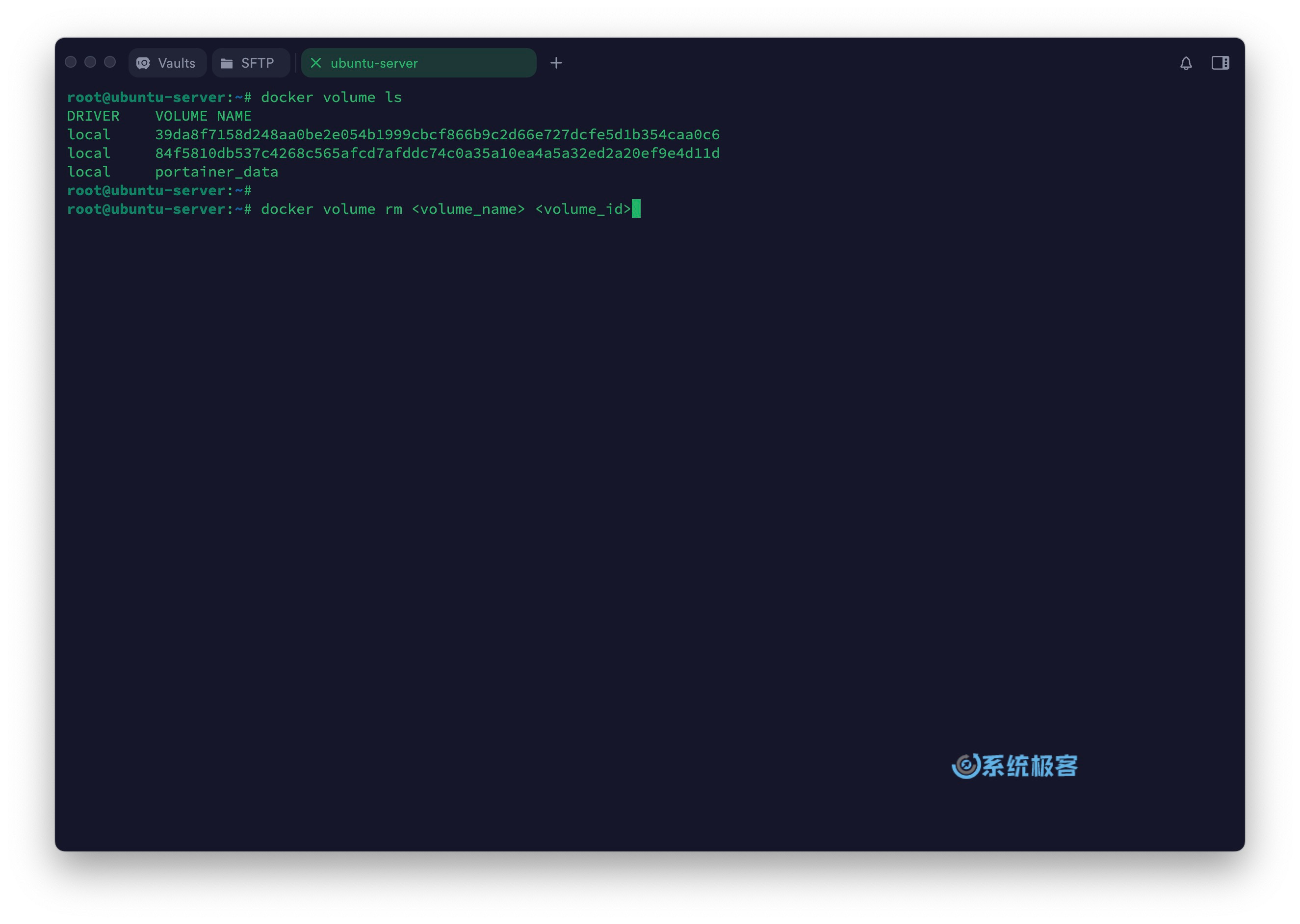 列出及删除指定 Docker 数据卷