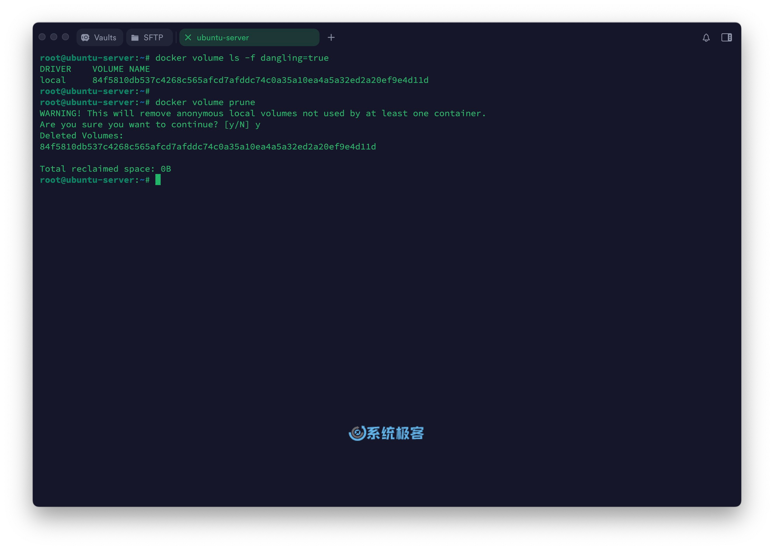 删除并清理 Docker 未使用数据卷