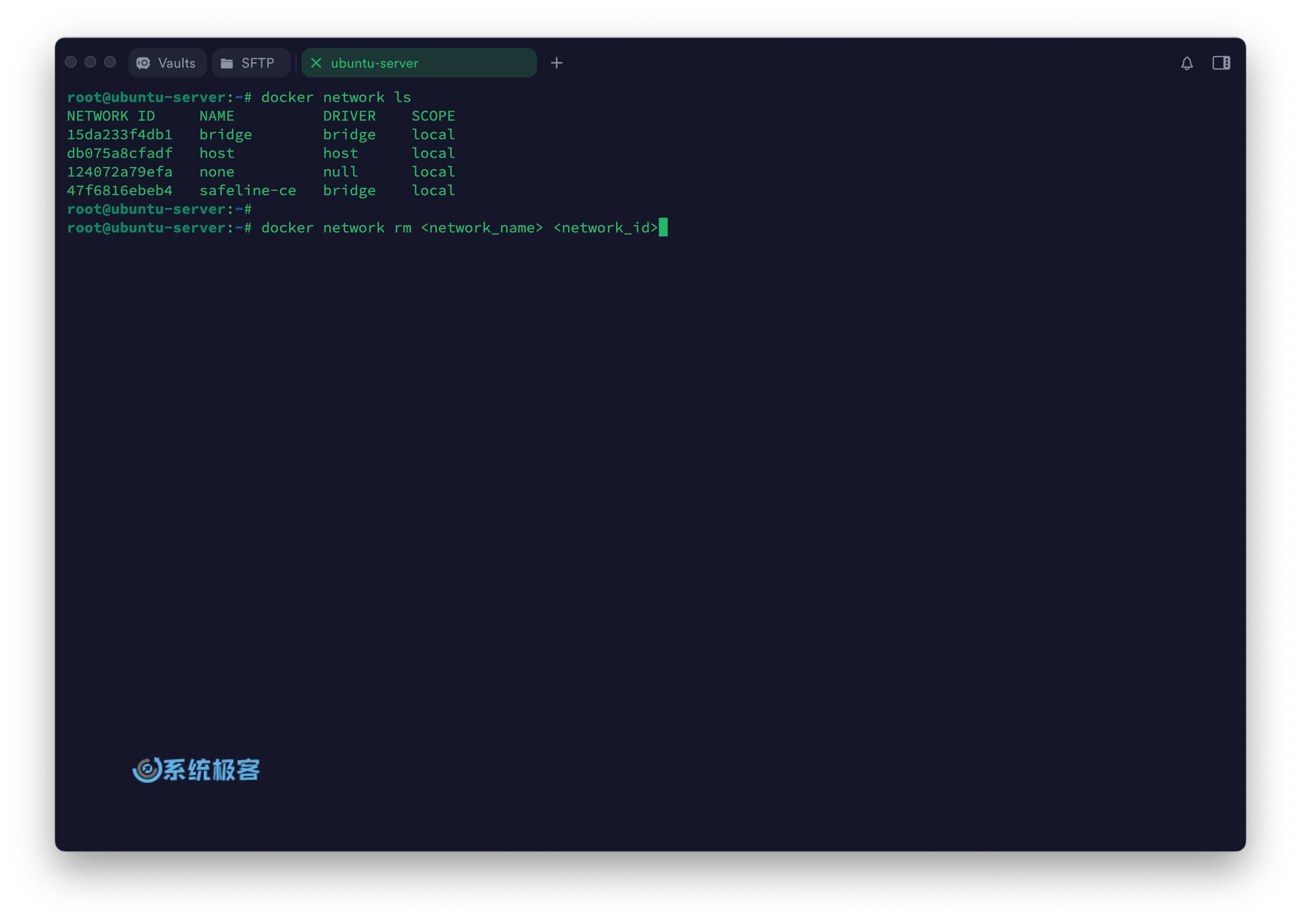 列出及删除指定 Docker 网络