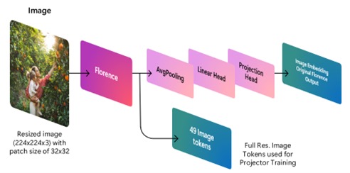 用于投影器训练的 Florence 图像 Token 提取