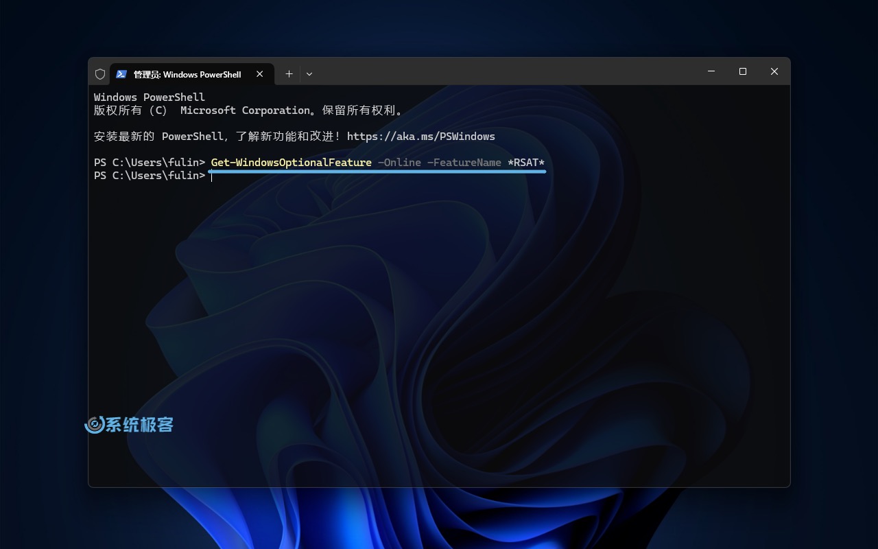 Windows 11 无法 Get-WindowsOptionalFeature 到 RSAT 功能