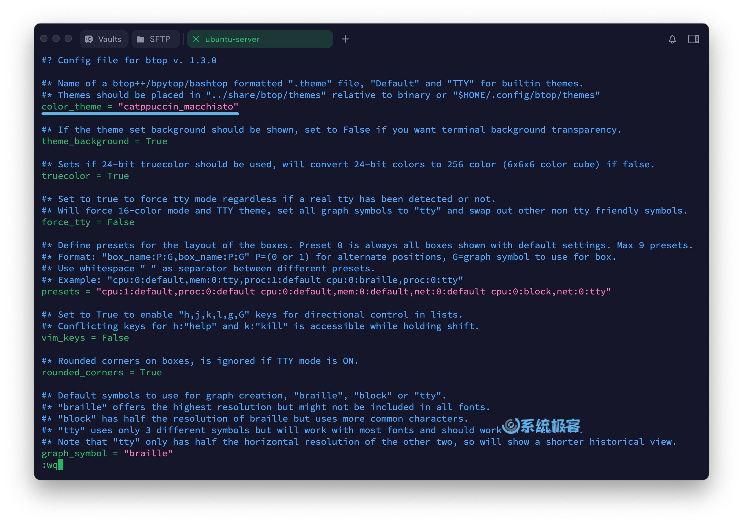 更换 Btop 主题