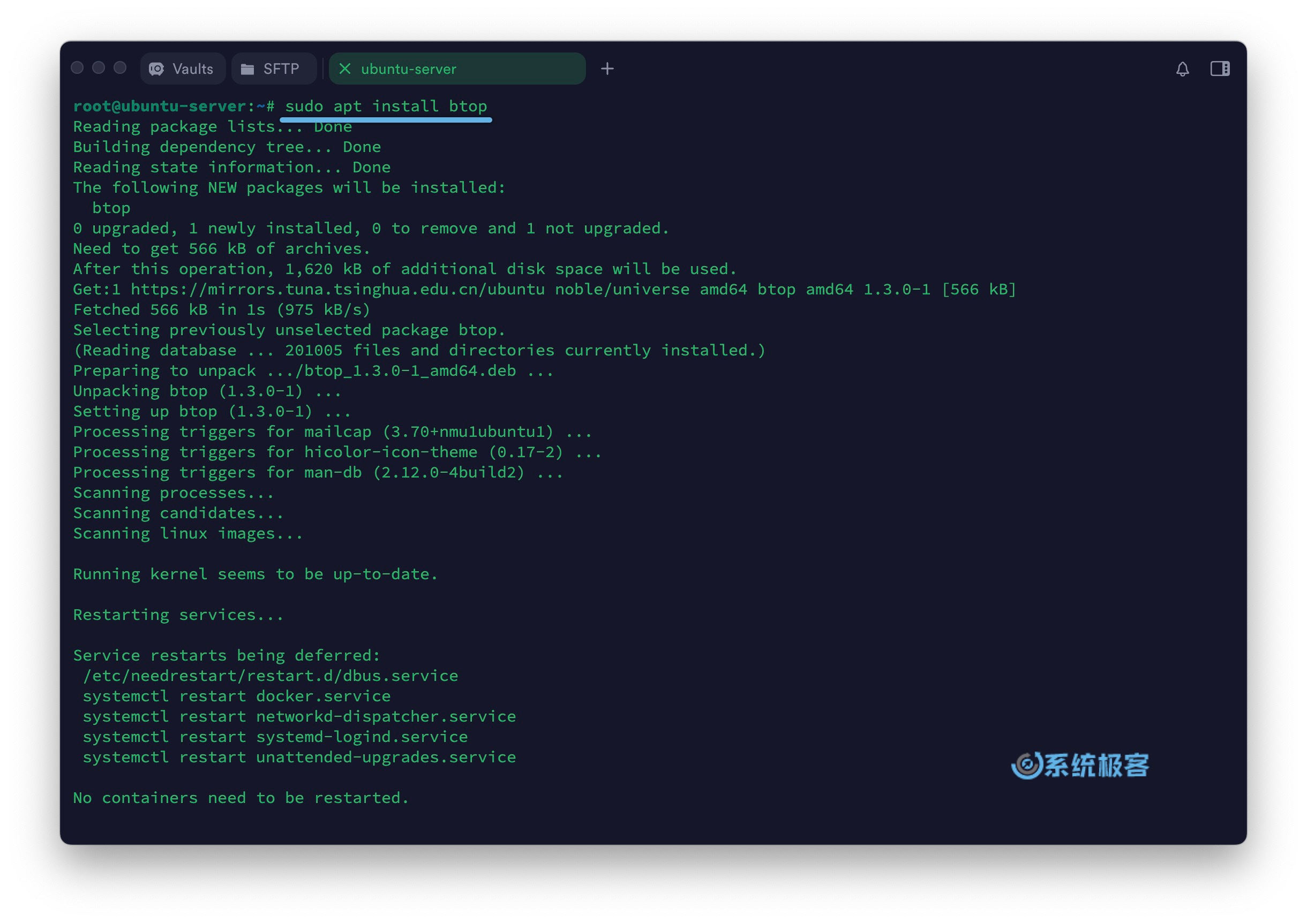 在 Ubuntu 上安装 Btop