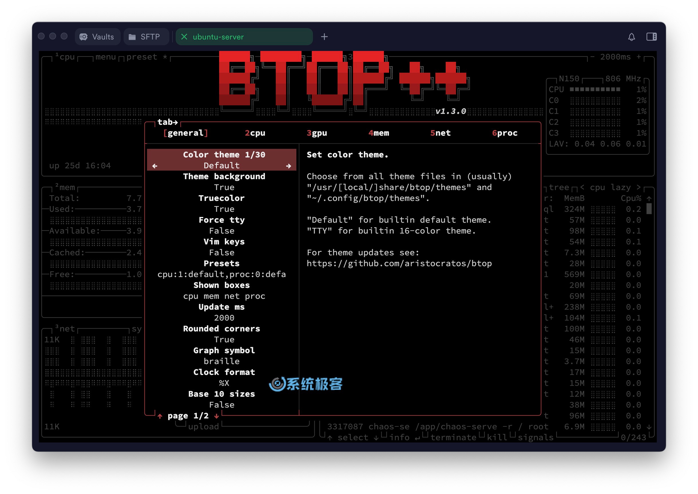Btop 自定义选项
