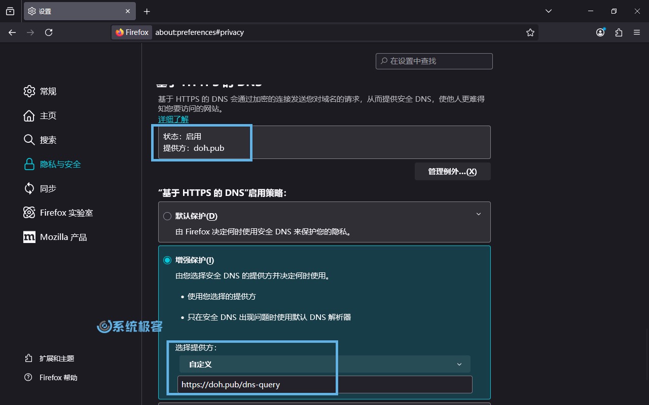 选择「增强保护」,通过「自定义」填写国内 DoH 服务商