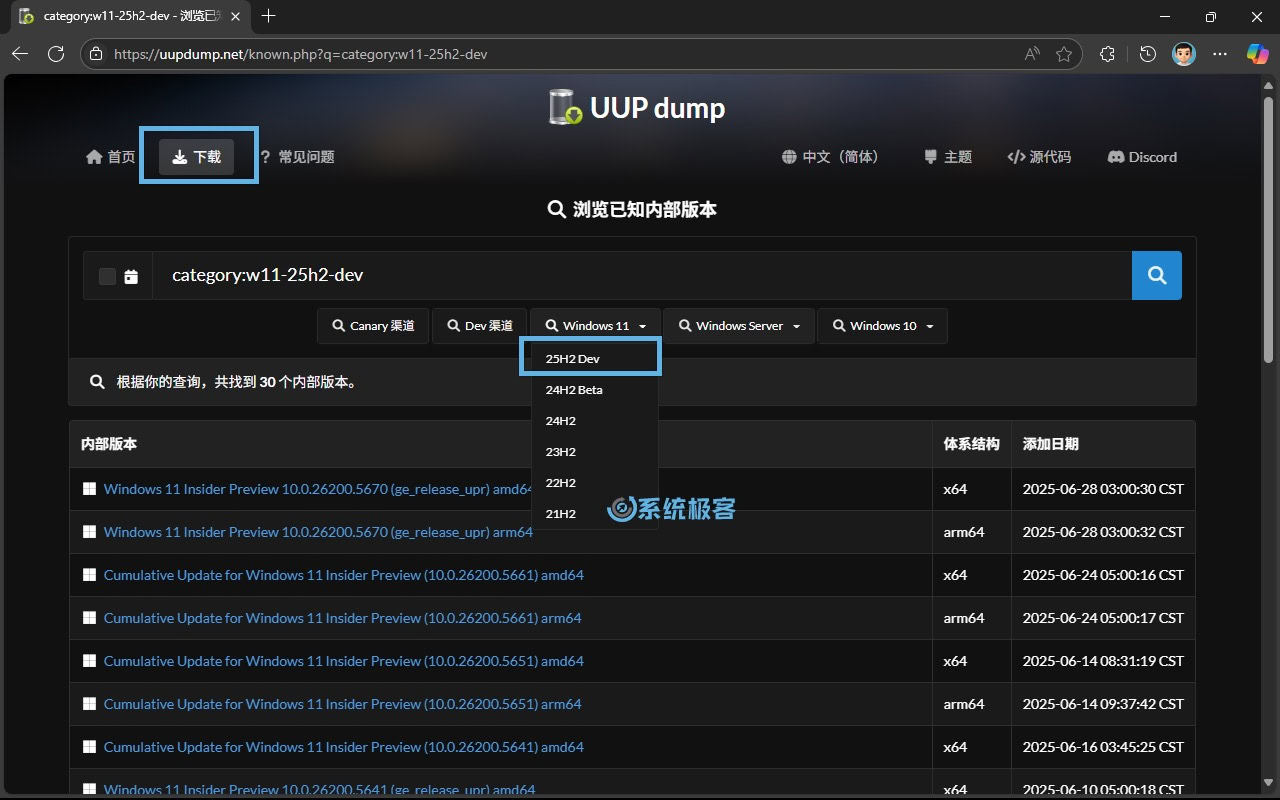 选择 25H2 Dev