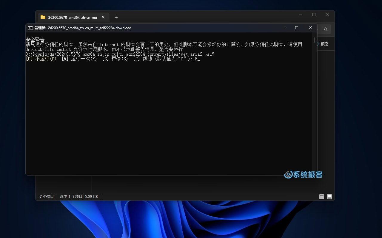 执行 uup_download_windows.cmd 脚本