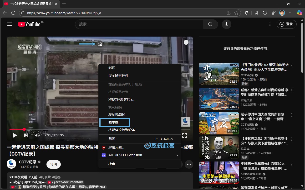 启用 Microsoft Edge 画中画模式