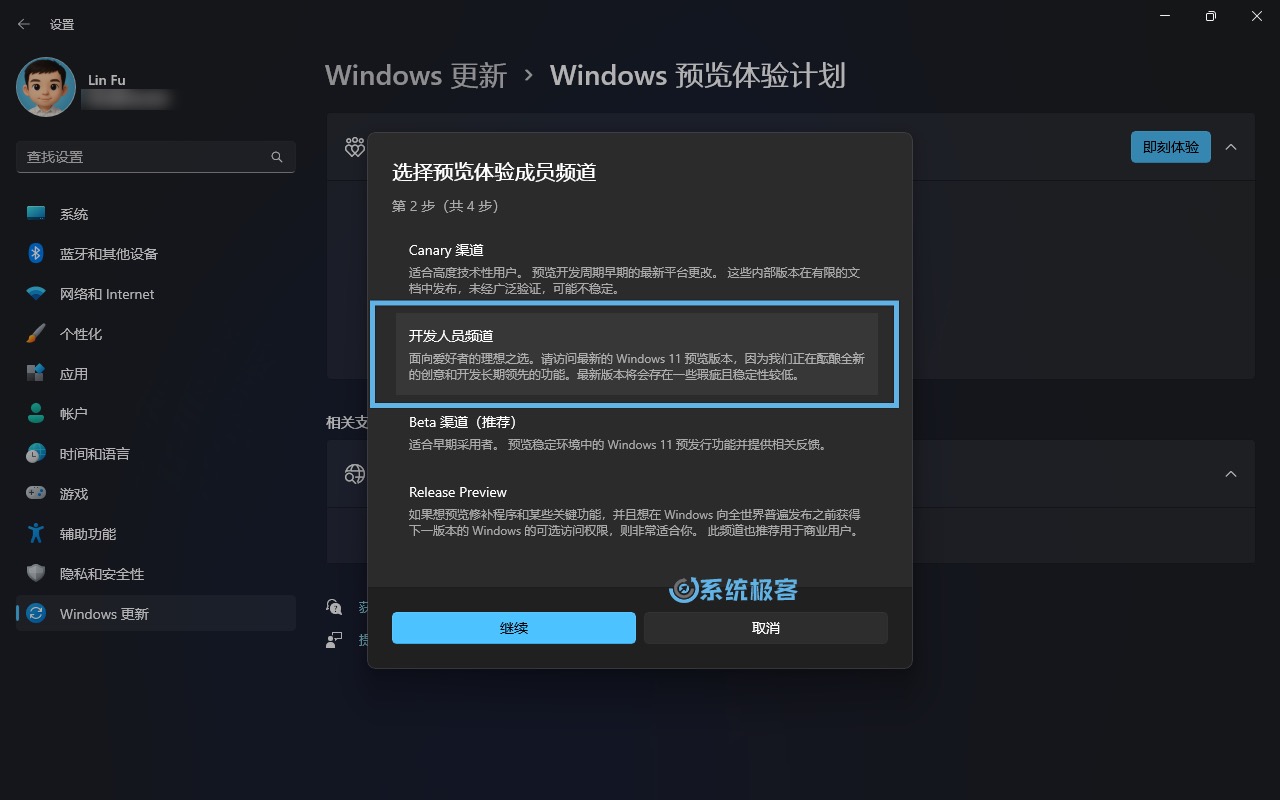 选择开发人员频道