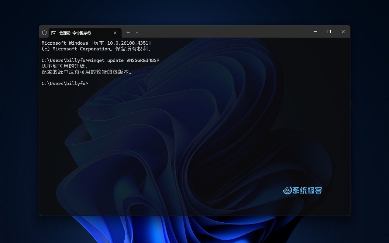 使用 Winget 更新 Windows Web 体验包