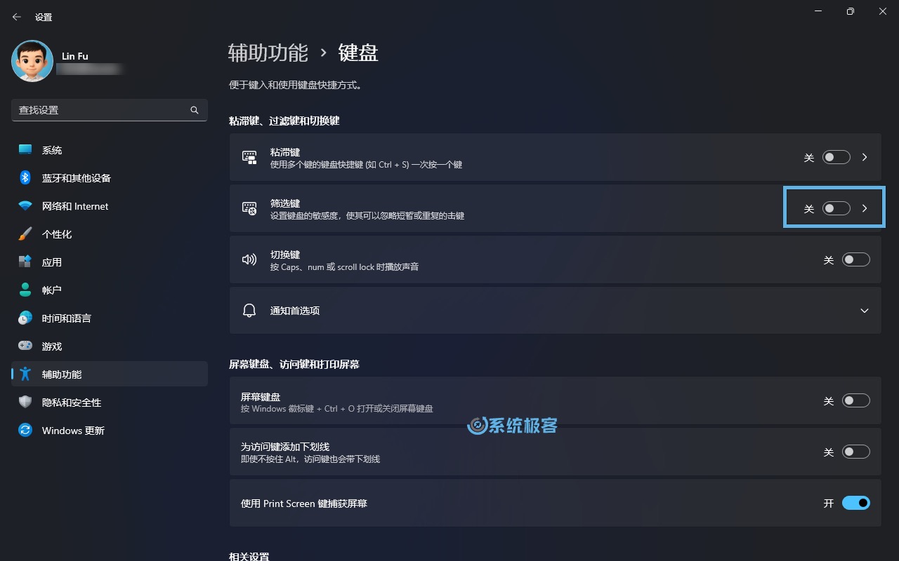 在「设置」中启用或禁用筛选键