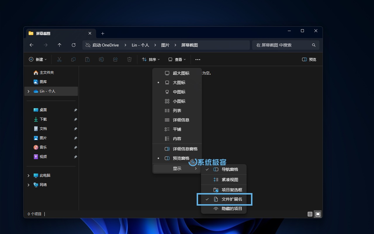 在 Windows 11 中显示文件后缀