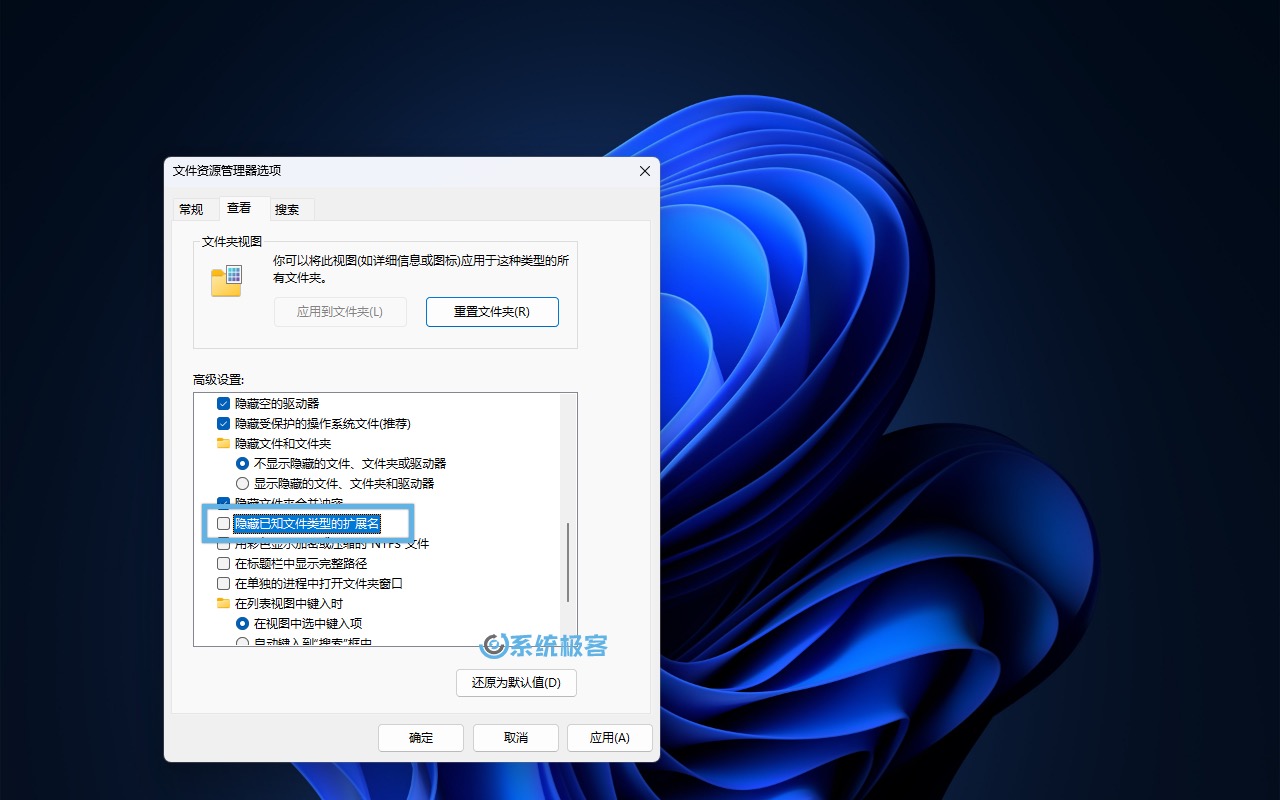 显示或隐藏已知文件类型的扩展名
