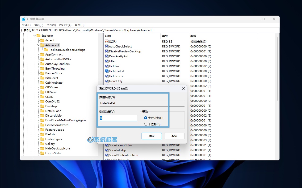 更改注册表隐藏或显示 Windows 11 文件后缀名